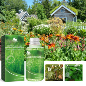 Plant fertilizer flower potted lawn green leaves root growth nutrients